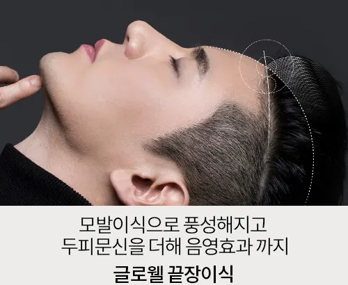 끝장이식
